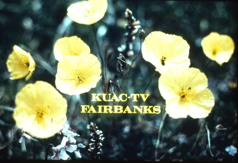 1973 Logos - 013.JPG