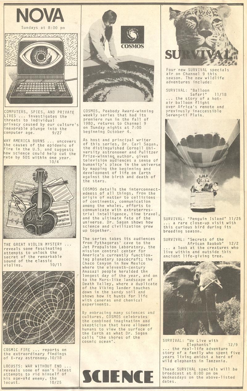 1981 Pages - 001.jpg