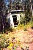 1999Pictures013.jpg