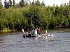 2005RedGreenRegatta052.JPG