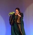 NADWCon2013074.jpg
